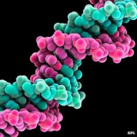 /album/dijar/a65443771-c0090185-dna-molecule-artwork-spl-jpg/